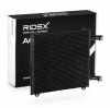 RIDEX 448C0408 Klimakondensator Klimaanlage Auto ohne Trockner f&uuml;r AUDI A2 (8Z0)