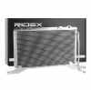 RIDEX 448C0100 Klimakondensator Klimaanlage Auto ohne Trockner A210830047064