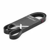 Keilrippenriemen RIDEX 6PK1816 für TOYOTA COROLLA Verso (ZER, ZZE12, R1)