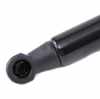 RIDEX 219G0894 Heckklappendämpfer beidseitig Länge:283mm Länge:173mm 570N Hub: Bild RIDEX 219G0894 Heckklappendämpfer beidseitig Länge:283mm Länge:173mm 570N Hub: