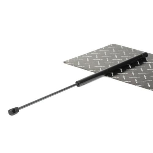 RIDEX 219G0374 Heckklappendämpfer beidseitig Länge:600mm 300N Hub: 245mm 873193 Bild RIDEX 219G0374 Heckklappendämpfer beidseitig Länge:600mm 300N Hub: 245mm 873193