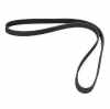 Keilrippenriemen RIDEX 5PK1195 für RENAULT CLIO II (BB0/1/2, CB0/1/2) KANGOO Bild Keilrippenriemen RIDEX 5PK1195 für RENAULT CLIO II (BB0/1/2, CB0/1/2) KANGOO