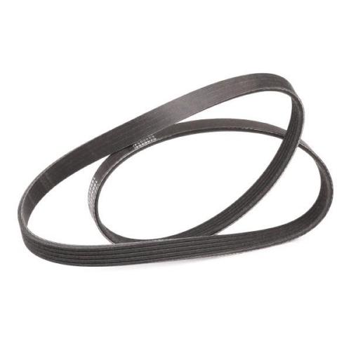 Keilrippenriemen RIDEX PLUS 5PK1145 für FIAT PANDA (169) 500 (312) GRANDE PUNTO Bild Keilrippenriemen RIDEX PLUS 5PK1145 für FIAT PANDA (169) 500 (312) GRANDE PUNTO