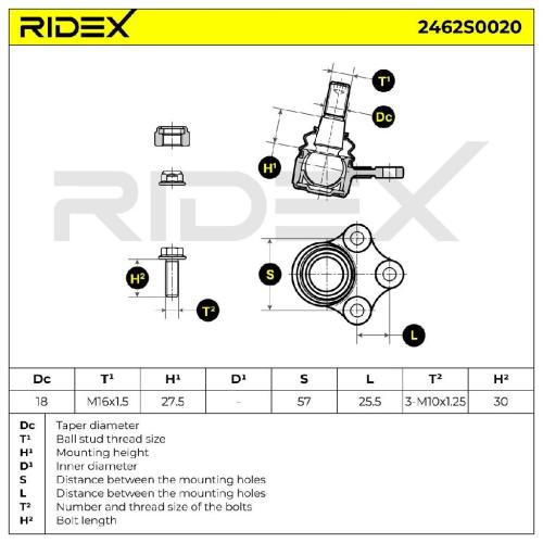 RIDEX 2462S0020 Traggelenk Führungsgelenk Vorne für OPEL Vivaro A Kastenwagen Bild RIDEX 2462S0020 Traggelenk Führungsgelenk Vorne für OPEL Vivaro A Kastenwagen