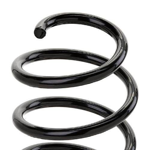 RIDEX 188C0230 2x Federn Fahrwerksfedern Vorne für VW Golf 5 Schrägheck Bild RIDEX 188C0230 2x Federn Fahrwerksfedern Vorne für VW Golf 5 Schrägheck