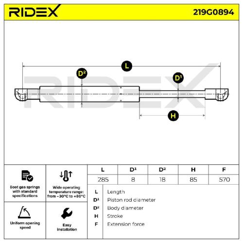 RIDEX 219G0894 Heckklappendämpfer beidseitig Länge:283mm Länge:173mm 570N Hub: Bild RIDEX 219G0894 Heckklappendämpfer beidseitig Länge:283mm Länge:173mm 570N Hub: