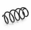 RIDEX 188C0365 2x Federn Fahrwerksfedern Vorne für VW Golf 5I (5K1) Bild RIDEX 188C0365 2x Federn Fahrwerksfedern Vorne für VW Golf 5I (5K1)