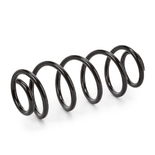 RIDEX 188C0065 2x Federn Fahrwerksfedern Vorne für VW PASSAT Variant (3B6) Bild RIDEX 188C0065 2x Federn Fahrwerksfedern Vorne für VW PASSAT Variant (3B6)