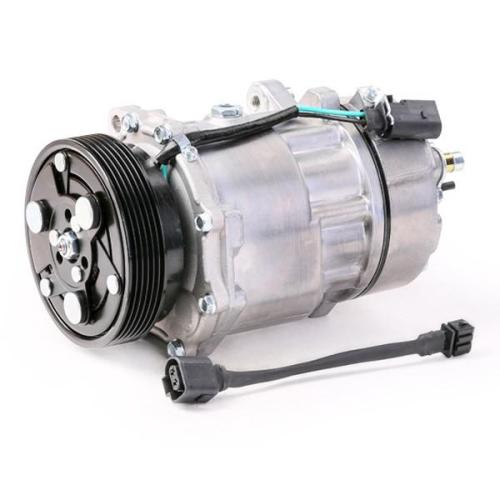RIDEX A/C Kompressor für Klimaanlage Klimakompressor PAG 46 mit 119mm für VW Bild RIDEX A/C Kompressor für Klimaanlage Klimakompressor PAG 46 mit 119mm für VW