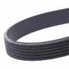 RIDEX Keilrippenriemen für VW POLO (9N) Bild RIDEX Keilrippenriemen für VW POLO (9N)