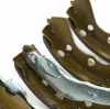 RIDEX Bremsbacken Satz für Trommelbremse Hinten mit Handbremshebel 70B0196 Bild RIDEX Bremsbacken Satz für Trommelbremse Hinten mit Handbremshebel 70B0196