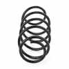 RIDEX PLUS 188C0391P 2x Federn Fahrwerksfedern Vorne für TOYOTA 481310D281 Bild RIDEX PLUS 188C0391P 2x Federn Fahrwerksfedern Vorne für TOYOTA 481310D281