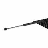 RIDEX 219G0904 Heckklappendämpfer Länge:445mm 640N Hub: 177mm für KIA 81770A2200