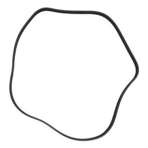 RIDEX PLUS Keilrippenriemen für FORD MONDEO IV Turnier (BA7) Bild RIDEX PLUS Keilrippenriemen für FORD MONDEO IV Turnier (BA7)