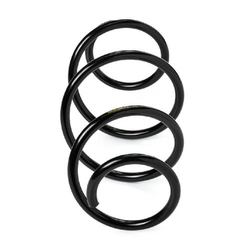 RIDEX PLUS 188C1794P 2x Federn Fahrwerksfedern Vorne für RENAULT 540103930R Bild RIDEX PLUS 188C1794P 2x Federn Fahrwerksfedern Vorne für RENAULT 540103930R