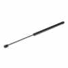 RIDEX 219G0374 Heckklappendämpfer beidseitig Länge:600mm 300N Hub: 245mm 873193 Bild RIDEX 219G0374 Heckklappendämpfer beidseitig Länge:600mm 300N Hub: 245mm 873193