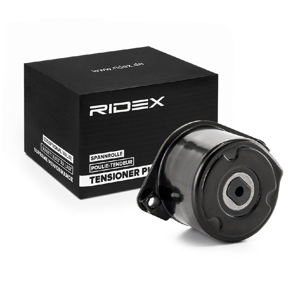 RIDEX Riemenspanner Keilrippenriemen Hinten für BMW 3 Touring (E91)