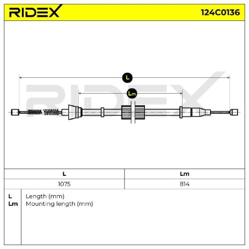 RIDEX Handbremsseil Hinten für AUDI A2 (8Z0) Bild RIDEX Handbremsseil Hinten für AUDI A2 (8Z0)