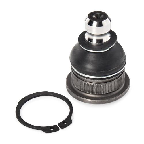 RIDEX 2462S0434 Traggelenk Führungsgelenk Vorne für RENAULT Clio 1II Schrägheck Bild RIDEX 2462S0434 Traggelenk Führungsgelenk Vorne für RENAULT Clio 1II Schrägheck