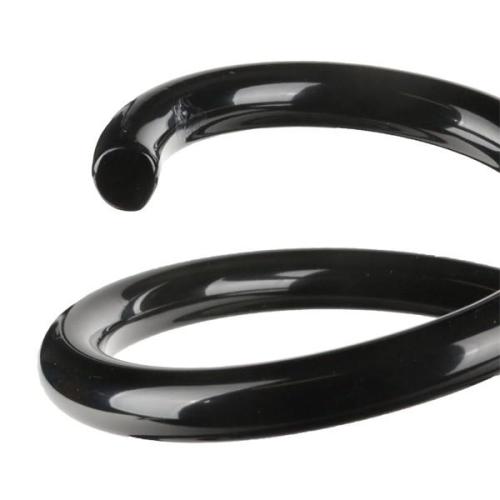 RIDEX 188C0556 2x Federn Fahrwerksfedern Hinten für CITROËN C2 Schrägheck Bild RIDEX 188C0556 2x Federn Fahrwerksfedern Hinten für CITROËN C2 Schrägheck
