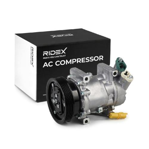 RIDEX A/C Kompressor für Klimaanlage Klimakompressor PAG 46 mit 123mm 926003639R Bild RIDEX A/C Kompressor für Klimaanlage Klimakompressor PAG 46 mit 123mm 926003639R