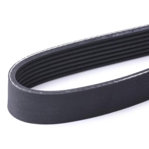 RIDEX Keilrippenriemen für NISSAN Qashqai II (J11, J11) Bild RIDEX Keilrippenriemen für NISSAN Qashqai II (J11, J11)