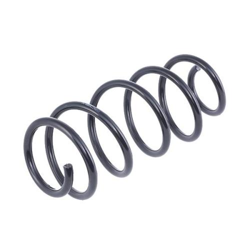 RIDEX 188C0049 2x Federn Fahrwerksfedern Vorne für VW Passat Variant (3C5) Bild RIDEX 188C0049 2x Federn Fahrwerksfedern Vorne für VW Passat Variant (3C5)