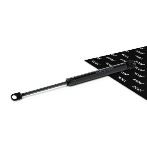 RIDEX Motorhaubendämpfer für BMW 3 Cabrio (E30) Bild RIDEX Motorhaubendämpfer für BMW 3 Cabrio (E30)