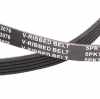 Keilrippenriemen RIDEX PLUS 5PK1155 für FIAT 500 (312) 500 C (312) PUNTO (188) Bild Keilrippenriemen RIDEX PLUS 5PK1155 für FIAT 500 (312) 500 C (312) PUNTO (188)