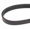RIDEX Keilrippenriemen passend für MERCEDES-BENZ A-Klasse (W169) Bild RIDEX Keilrippenriemen passend für MERCEDES-BENZ A-Klasse (W169)