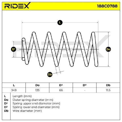 RIDEX 188C0788 2x Federn Fahrwerksfedern Vorne für AUDI A3 Schrägheck (8L1) Bild RIDEX 188C0788 2x Federn Fahrwerksfedern Vorne für AUDI A3 Schrägheck (8L1)