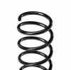 RIDEX 188C0250 2x Federn Fahrwerksfedern Hinten für OPEL AGILA (A) (H00) Bild RIDEX 188C0250 2x Federn Fahrwerksfedern Hinten für OPEL AGILA (A) (H00)