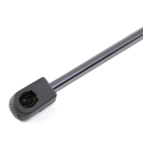 RIDEX Motorhaubendämpfer für FIAT STILO (192) Bild RIDEX Motorhaubendämpfer für FIAT STILO (192)