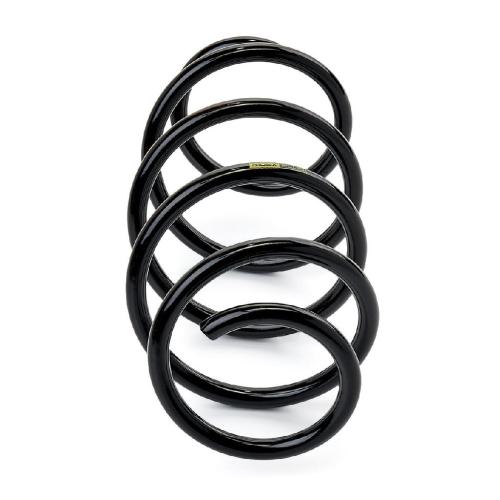 RIDEX PLUS 188C0059P 2x Federn Fahrwerksfedern Vorne für VW Golf 5I (5K1) Bild RIDEX PLUS 188C0059P 2x Federn Fahrwerksfedern Vorne für VW Golf 5I (5K1)
