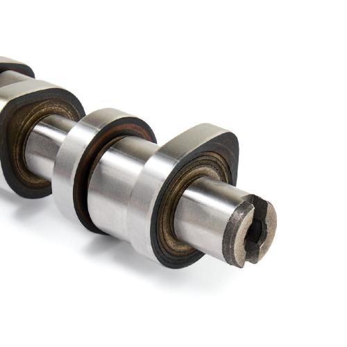 RIDEX Nockenwelle für VW Golf 5 Schrägheck (1K1) Bild RIDEX Nockenwelle für VW Golf 5 Schrägheck (1K1)
