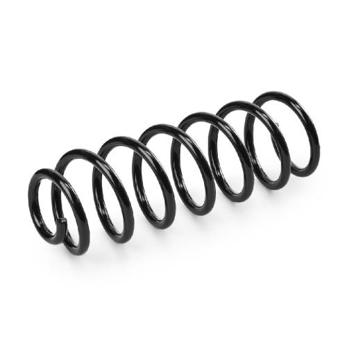 RIDEX 188C1282 2x Federn Fahrwerksfedern Hinten für RENAULT 550200011R Bild RIDEX 188C1282 2x Federn Fahrwerksfedern Hinten für RENAULT 550200011R