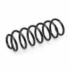 RIDEX 188C1282 2x Federn Fahrwerksfedern Hinten für RENAULT 550200011R Bild RIDEX 188C1282 2x Federn Fahrwerksfedern Hinten für RENAULT 550200011R