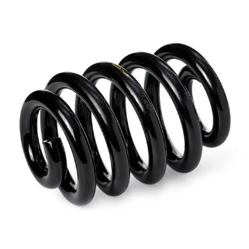 RIDEX PLUS 188C0526P 2x Federn Fahrwerksfedern Hinten für VW 7H8511115C Bild RIDEX PLUS 188C0526P 2x Federn Fahrwerksfedern Hinten für VW 7H8511115C