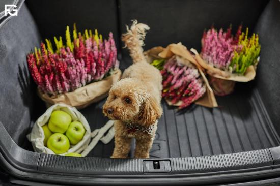 FROGUM Kofferraumwanne für VOLVO V60 II (225, 227) Bild FROGUM Kofferraumwanne für VOLVO V60 II (225, 227)
