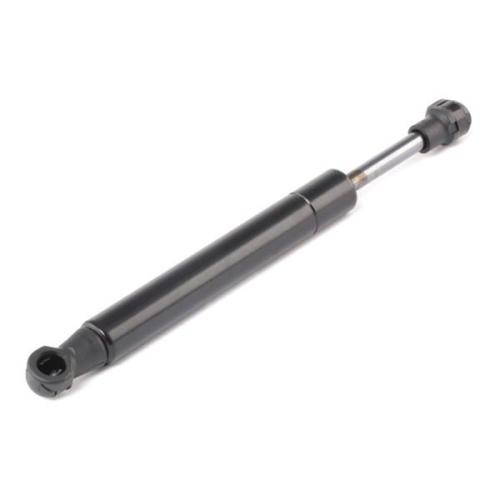 RIDEX Motorhaubendämpfer für FIAT MULTIPLA (186) Bild RIDEX Motorhaubendämpfer für FIAT MULTIPLA (186)