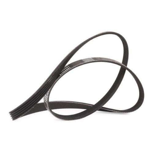Keilrippenriemen RIDEX PLUS 5PK1155 für FIAT 500 (312) 500 C (312) PUNTO (188) Bild Keilrippenriemen RIDEX PLUS 5PK1155 für FIAT 500 (312) 500 C (312) PUNTO (188)