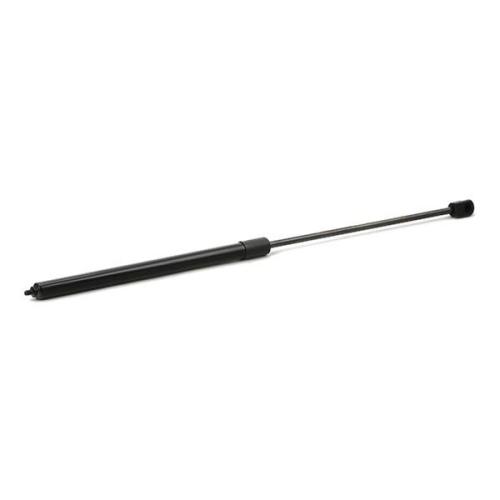 RIDEX Motorhaubendämpfer passend für MERCEDES-BENZ M-Klasse (W164) Bild RIDEX Motorhaubendämpfer passend für MERCEDES-BENZ M-Klasse (W164)