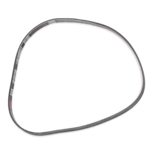 RIDEX PLUS Keilrippenriemen für VW Golf 5II Schrägheck (5G1, BQ1, BE1, BE2) Bild RIDEX PLUS Keilrippenriemen für VW Golf 5II Schrägheck (5G1, BQ1, BE1, BE2)