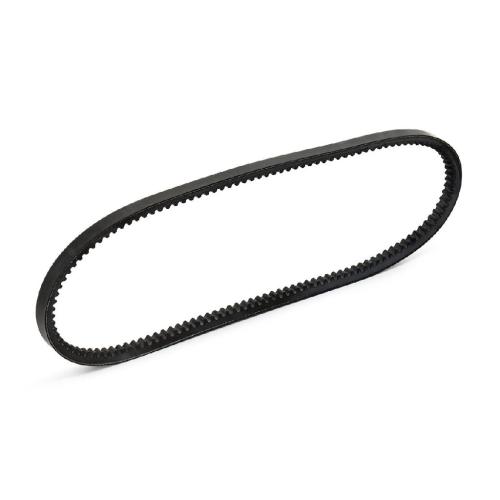 RIDEX 10C0018 Keilriemen 790mm für VW Golf 1II (1H1) SHARAN (7M8, 7M9, 7M6) Bild RIDEX 10C0018 Keilriemen 790mm für VW Golf 1II (1H1) SHARAN (7M8, 7M9, 7M6)