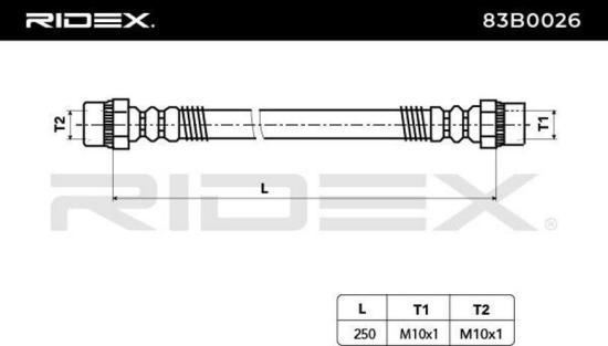 RIDEX Bremsschlauch 83B0026 HINTEN beidseitig BREMSSCHLÄUCHE Länge: 250mm Bild RIDEX Bremsschlauch 83B0026 HINTEN beidseitig BREMSSCHLÄUCHE Länge: 250mm