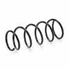 RIDEX 188C0420 2x Federn Fahrwerksfedern Vorne für RENAULT Clio 1 Bild RIDEX 188C0420 2x Federn Fahrwerksfedern Vorne für RENAULT Clio 1