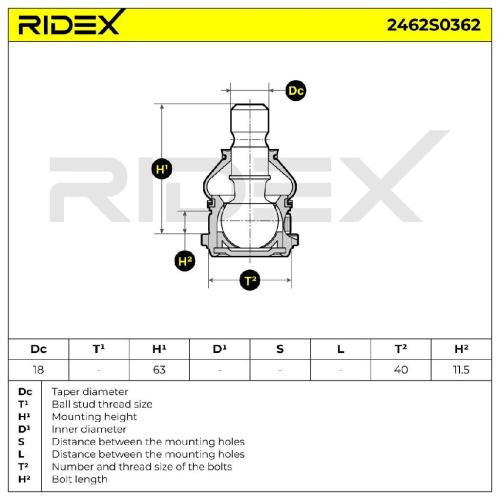 RIDEX 2462S0362 Traggelenk Führungsgelenk Vorne Rechts Links für HYUNDAI i10 Bild RIDEX 2462S0362 Traggelenk Führungsgelenk Vorne Rechts Links für HYUNDAI i10
