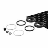 RIDEX 405R0016 Bremssattel-Reparatursatz Hinten passend für MERCEDES-BENZ SL