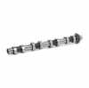 RIDEX Nockenwelle für OPEL Corsa F Bild RIDEX Nockenwelle für OPEL Corsa F