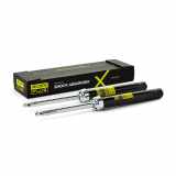 RIDEX PLUS 854S1736P 2x Stoßdämpfer Federbeineinsatz Gasdruck Vorne 00005202FN